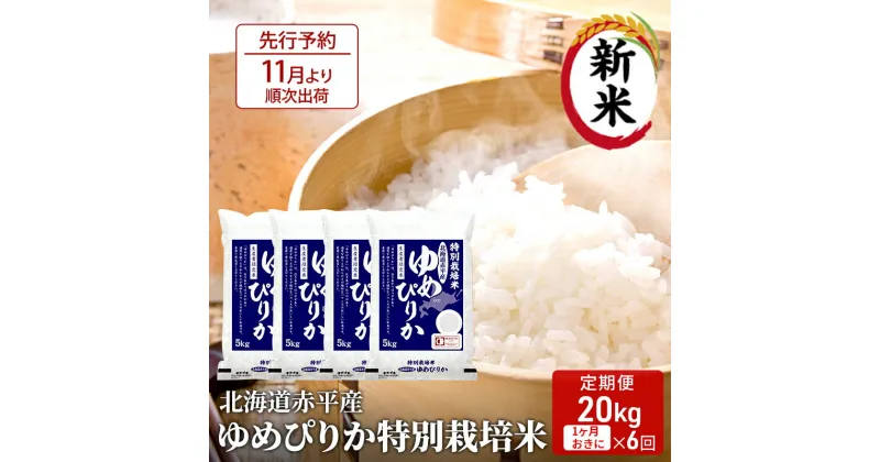 【ふるさと納税】【先行予約2024年産米・11月より順次出荷】北海道赤平産 ゆめぴりか 20kg (5kg×4袋) 特別栽培米 【1ヵ月おきに6回お届け】 米 北海道 定期便　定期便・米・お米・ゆめぴりか 赤平産　お届け：2024年11月中旬より順次出荷