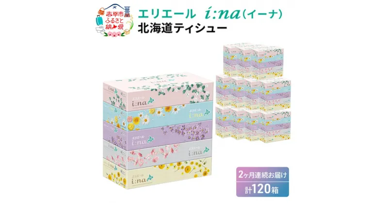 【ふるさと納税】【2回お届け・計120箱】エリエール i:na（イーナ）北海道ティシュー 150組5箱×12パック ティッシュペーパー 箱ティッシュ ボックスティッシュ 日用品 消耗品　定期便・福祉用品・雑貨・日用品・雑貨・日用品