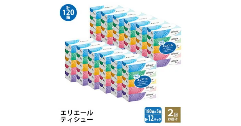 【ふるさと納税】【2回お届け・計120箱】エリエール ティッシュ 180組5箱×12パック ティッシュペーパー 箱ティッシュ ボックスティッシュ 日用品 消耗品　定期便・ 日用品 消耗品 ストック 生活必需品