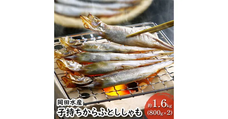 【ふるさと納税】子持ちからふとししゃも 約1.6kg(800g×2) 樺太 魚シシャモ メス おつまみ　 魚貝類 干物 量販店 居酒屋 馴染み 人気 卵 詰まった 塩 味付け