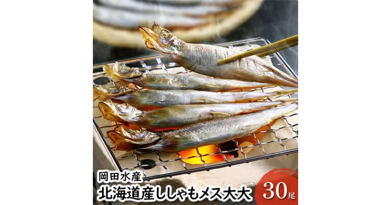 【ふるさと納税】北海道産ししゃもメス大大30尾 北海道 稀少 魚シシャモ メス おつまみ　 魚貝類 干物 本物 人気 希少 塩 味付け 脂のり 旨み 美味しい 大きい