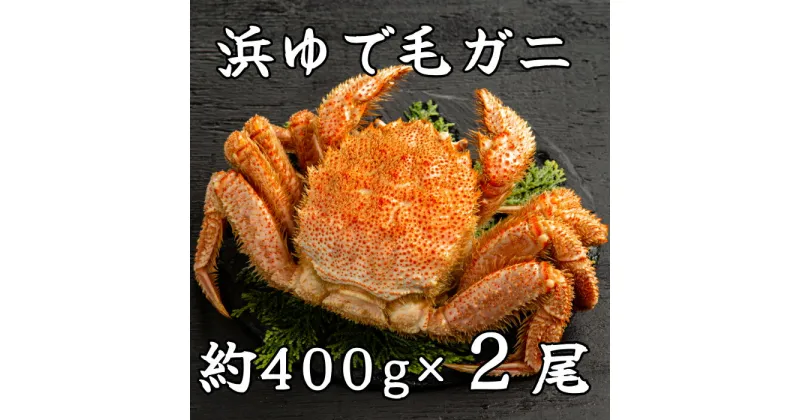 【ふるさと納税】37-12 流氷明け浜ゆで毛ガニ約400g×2尾