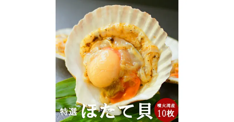 【ふるさと納税】14-126 北海道産ホタテハーフシェル【BBQ用片殻付きほたて】｜ 10枚 ホタテ 帆立 貝柱 貝 片貝 片貝ほたて 殻付き BBQ