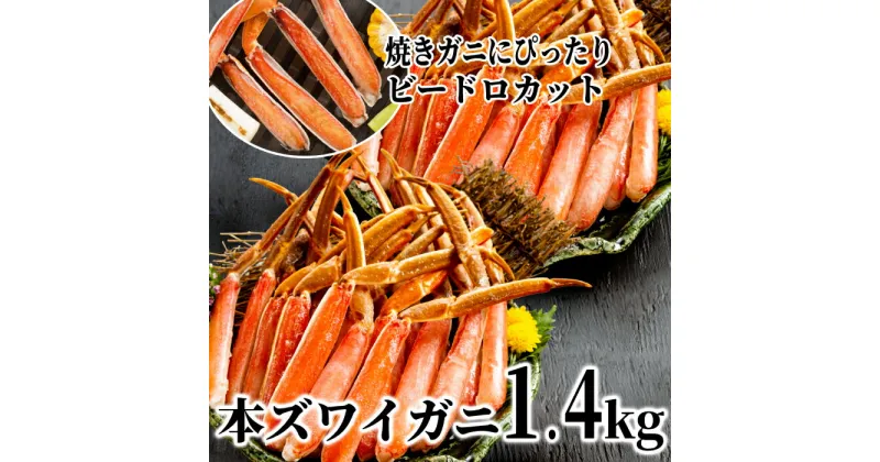 【ふるさと納税】23-48 生冷本ズワイガニビードロカットたっぷり1.4kg(脚のみ)