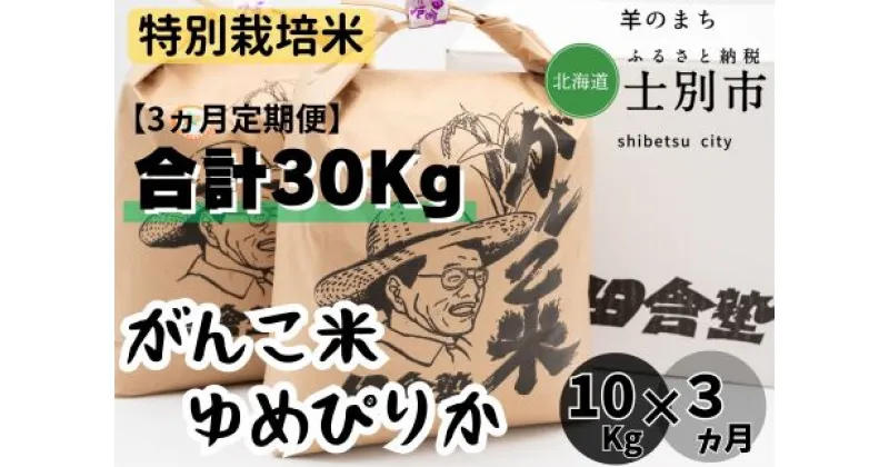 【ふるさと納税】（3ヵ月定期便）田舎塾特別栽培米「がんこ米ゆめぴりか」10kg×3ヵ月