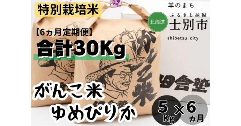 【ふるさと納税】（6ヵ月定期便）田舎塾特別栽培米「がんこ米ゆめぴりか」5kg×6ヵ月