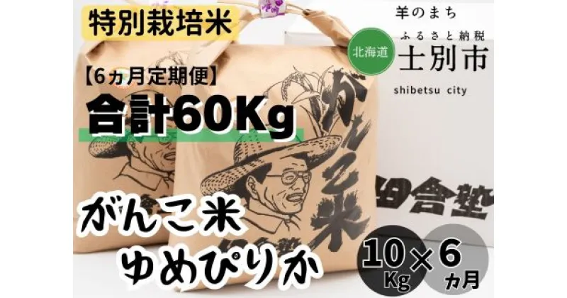 【ふるさと納税】（6ヵ月定期便）田舎塾特別栽培米「がんこ米ゆめぴりか」10kg×6ヵ月