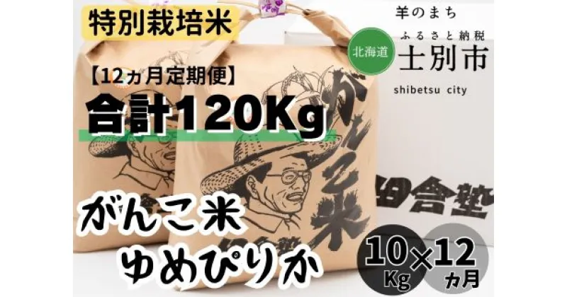 【ふるさと納税】（12ヵ月定期便）田舎塾特別栽培米「がんこ米ゆめぴりか」10kg×12ヵ月