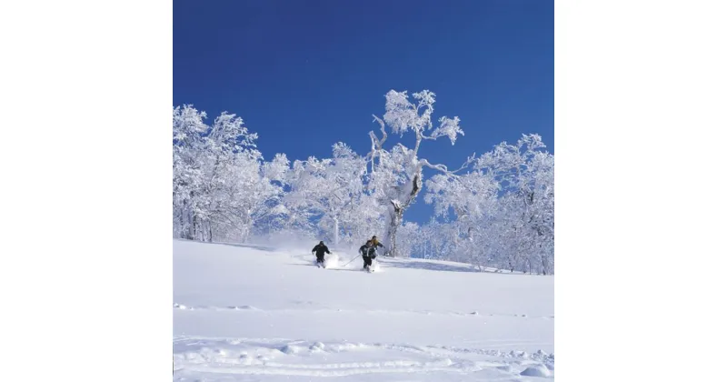 【ふるさと納税】北海道名寄市の対象施設で使える楽天トラベルクーポン 寄付額20,000円