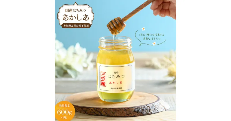 【ふるさと納税】はちみつ 天然 純粋はちみつ（あかしあ） 600g 非加熱 無添加 はちみつ 蜂蜜 ハチミツ あかしあ アカシア 国産 ふるさと納税 北海道 三笠市 三笠【01063】