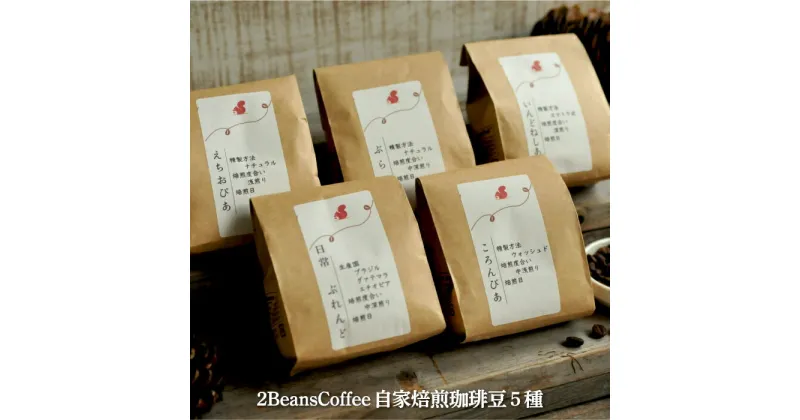 【ふるさと納税】 北海道三笠市 2 Beans Coffeeカフェ 自家焙煎 珈琲豆セット(100g×5種類) コーヒー 珈琲 珈琲豆 コーヒー豆 焙煎 coffee ふるさと納税 北海道 三笠市 三笠 【06001】