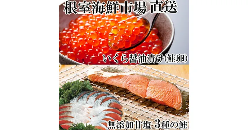 【ふるさと納税】無添加天然甘塩鮭3種各5切、いくら醤油漬け(鮭卵)70g×2P A-14096