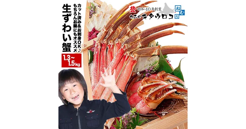 【ふるさと納税】お刺身でも食べられる本ずわいかにしゃぶ詰め合わせ1.3〜1.5kg B-25002