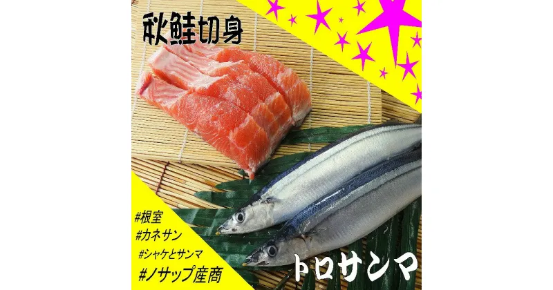 【ふるさと納税】[北海道根室産]生冷凍サンマ5本入×2P・秋鮭切身3切れ×1P A-59002