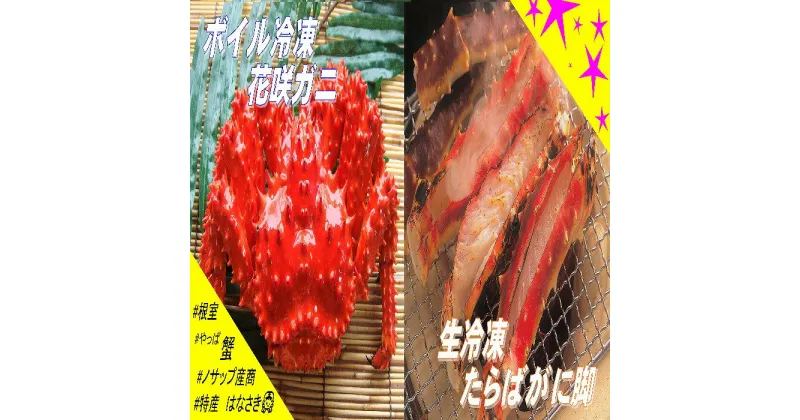 【ふるさと納税】[北海道根室産]生冷凍たらばがに脚カット済300g・ボイル冷凍花咲ガニ1尾セット B-59004