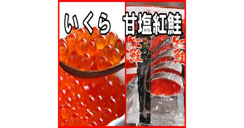 【ふるさと納税】いくら醤油漬け100g×1P、紅鮭切身5切×2P A-30029