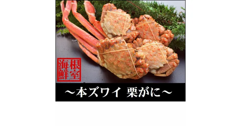 【ふるさと納税】ズワイガニとクリガニの食べ比べセット A-57031