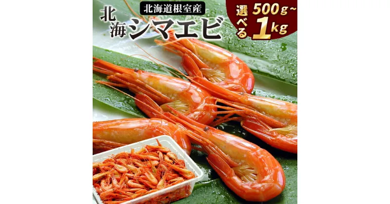 【ふるさと納税】[北海道根室産]北海シマエビ 選べる 500g(70〜90尾前後) 1kg(160〜180尾) エビ えび 海老 シマエビ 北海シマエビ 北海道 根室市 海鮮 しまえび 縞えび 縞エビ 縞海老