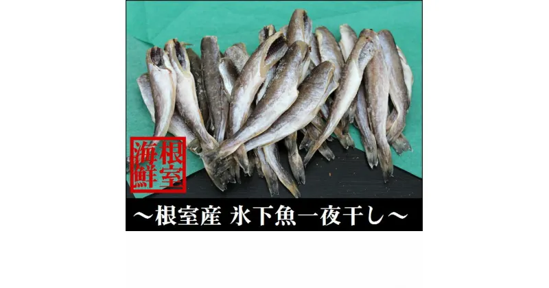 【ふるさと納税】[北海道根室産]生干しこまい500g×4P A-57033