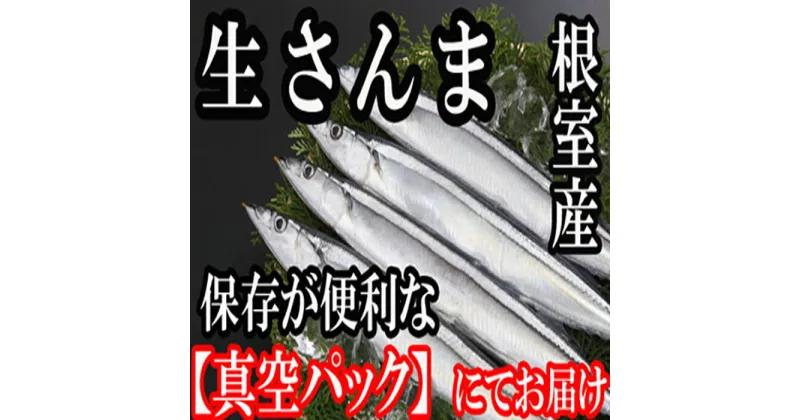 【ふるさと納税】[北海道根室産]さんま20尾入り A-36003