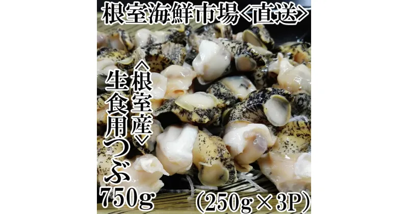 【ふるさと納税】[北海道根室産]生食用灯台つぶ250g×3P(計750g) A-11120