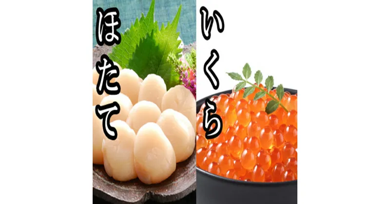 【ふるさと納税】いくら醤油漬け100g×2P、ほたて貝柱500g×1P B-30019