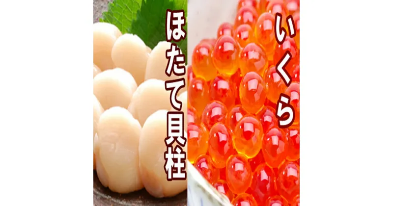 【ふるさと納税】いくら醤油漬け100g×2P、ほたて貝柱500g×1P B-36019