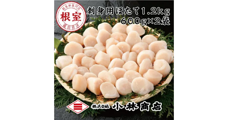 【ふるさと納税】【緊急支援品】＼漁業者応援品／刺身用ほたて1.2kg(600g×2P)＜鮭 魚卵 専門店 “根室” 蔵出 直送＞ ( ホタテ 帆立 ホタテ貝柱 帆立貝柱 根室 冷凍 刺身 刺身用 貝柱 天然 生食 小分け 中 魚介 海鮮) B-16054