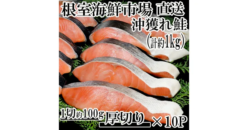 【ふるさと納税】天然沖獲れ鮭1切×10P(約1kg) B-14062