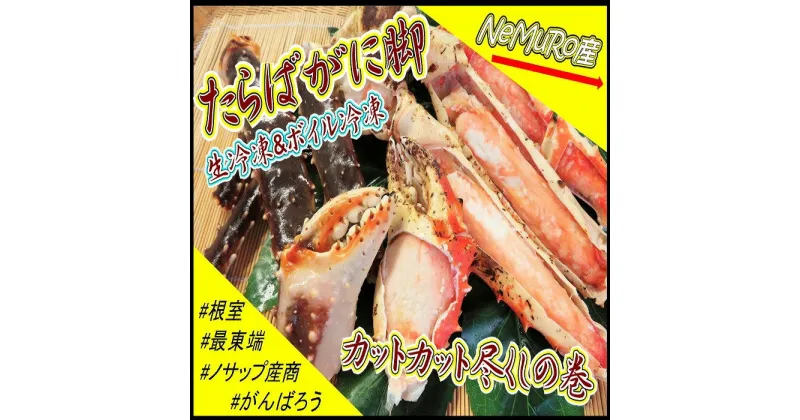 【ふるさと納税】[北海道根室産]たらばがに脚(生冷凍600g、ボイル冷凍300g) C-59019