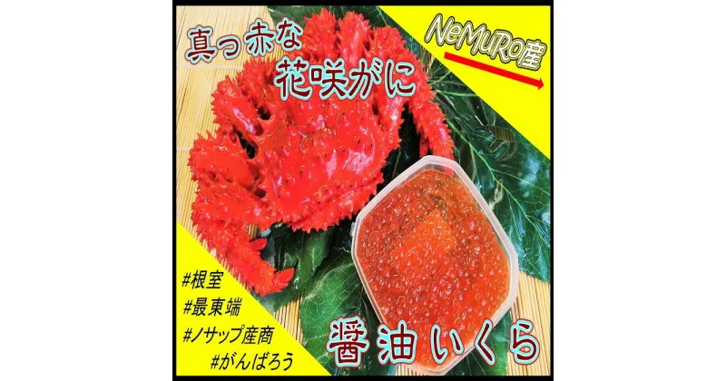 【ふるさと納税】[北海道根室産]花咲がに、醤油イクラセット C-59020