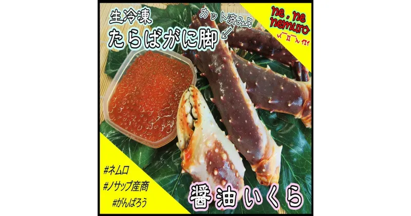 【ふるさと納税】[北海道根室産]生冷凍たらばがに脚、醤油イクラセット C-59018