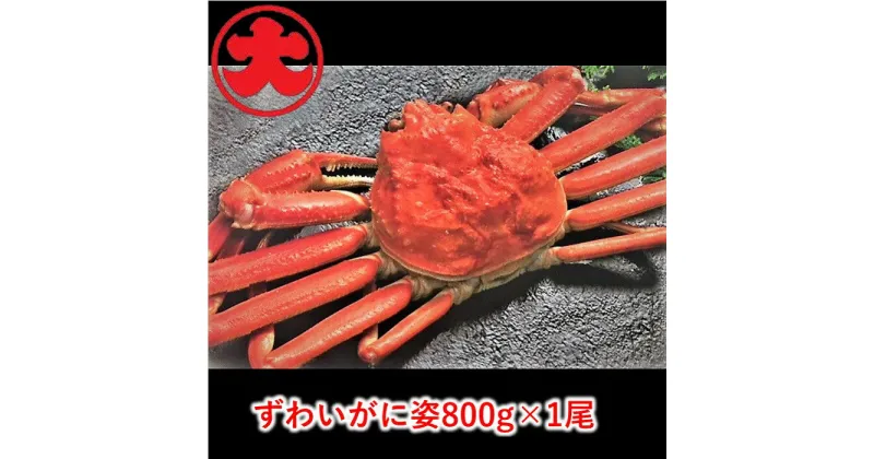 【ふるさと納税】ずわいがに姿800g×1尾 B-01043