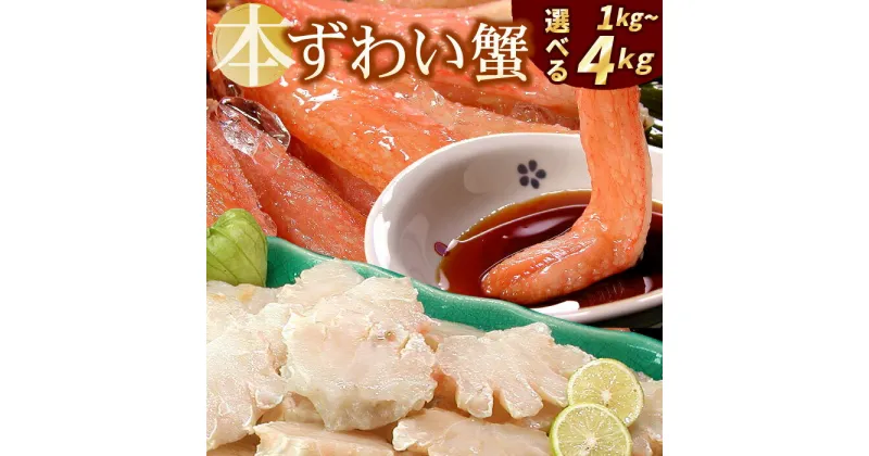 【ふるさと納税】かにしゃぶ・かにステーキ用本ずわいがに 選べる 1kg 〜 4kg ズワイガニ ずわいがに ズワイ蟹 ずわい蟹 かに カニ 蟹 北海道 根室市 海鮮