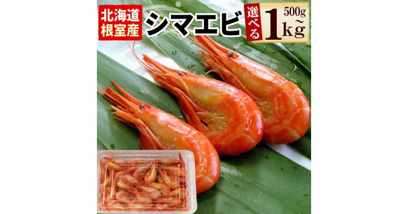 【ふるさと納税】[北海道根室産]北海シマエビ 選べる 500g(70〜90尾前後) 1kg(160〜180尾) エビ えび 海老 シマエビ 北海シマエビ 北海道 根室市 海鮮 しまえび 縞えび 縞エビ 縞海老