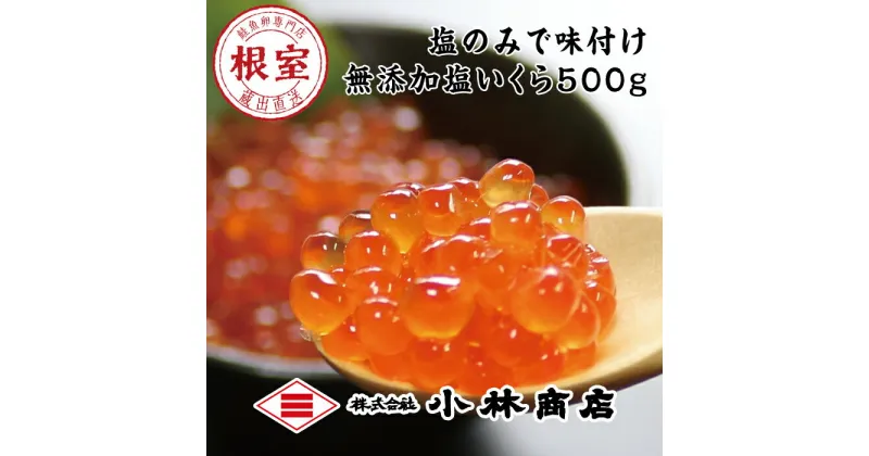 【ふるさと納税】無添加塩いくら500g B-16083