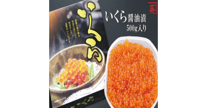 【ふるさと納税】[北海道根室産]いくら醤油漬け500g B-27018