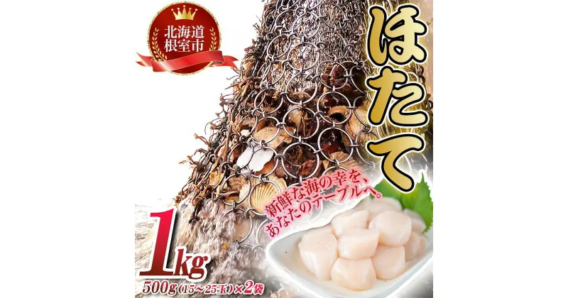 【ふるさと納税】【緊急支援品】＼漁業者応援品／ほたて貝柱500g×2P(計1kg) A-45001