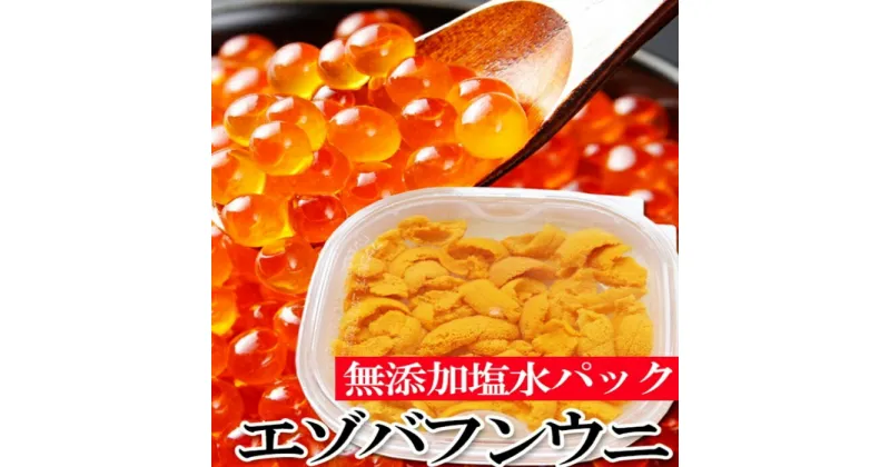 【ふるさと納税】 エゾバフンウニ塩水パック150g×1P、いくら醤油漬150g×1P[11月下旬以降発送] E-40016