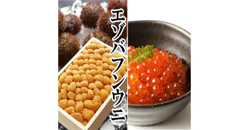 【ふるさと納税】 エゾバフンウニバラ詰め150g×1折、いくら醤油漬け150g×1P[11月下旬以降発送] E-40022