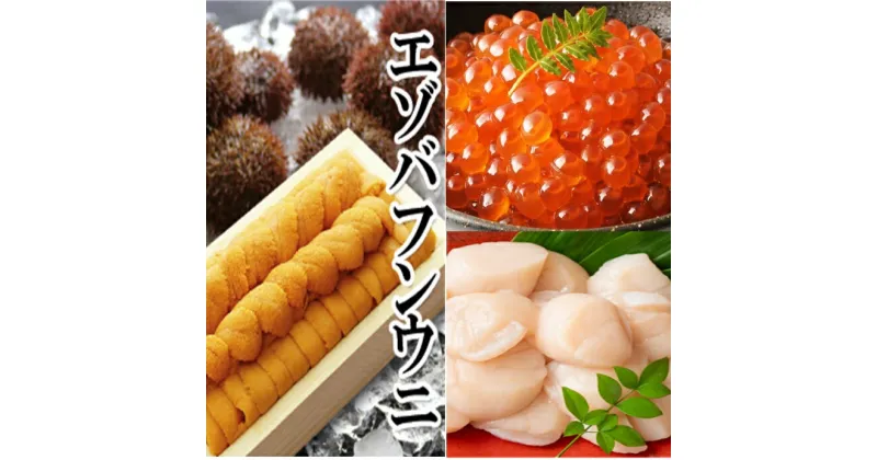 【ふるさと納税】エゾバフンウニ140g×1折、いくら醤油漬け150g×1P、お刺身ホタテ貝柱500g×1P[2025年1月下旬以降発送] E-40003