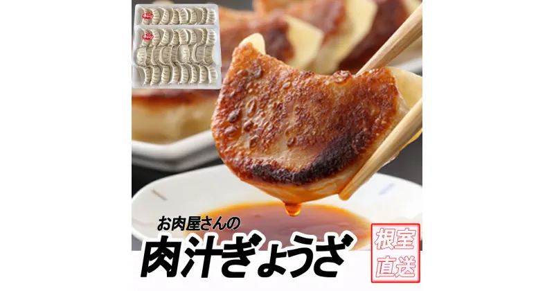 【ふるさと納税】餃子25個×2P～4P ぎょうざ ギョウザ 肉 北海道 根室市