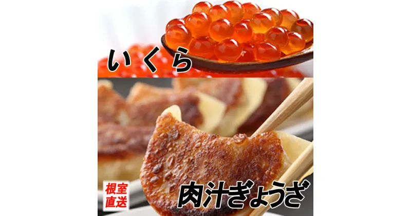 【ふるさと納税】餃子25個×2P、いくら醤油漬け100g×2P B-70029