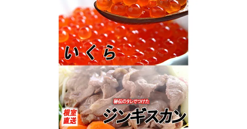 【ふるさと納税】いくら醤油漬け100g×2P、味付けジンギスカン800g×1Pセット B-70034