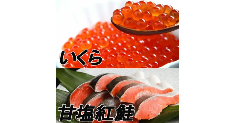 【ふるさと納税】甘塩紅鮭5切×5P、いくら醤油漬け100g×4P F-70003