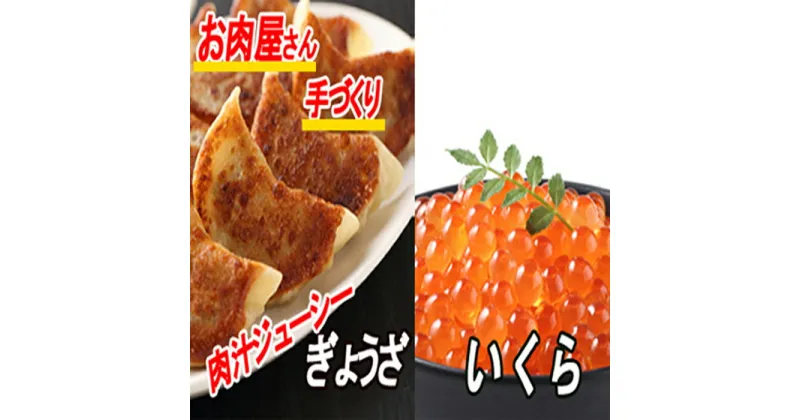 【ふるさと納税】餃子25個×1P、いくら醤油漬け100g×1P A-30041