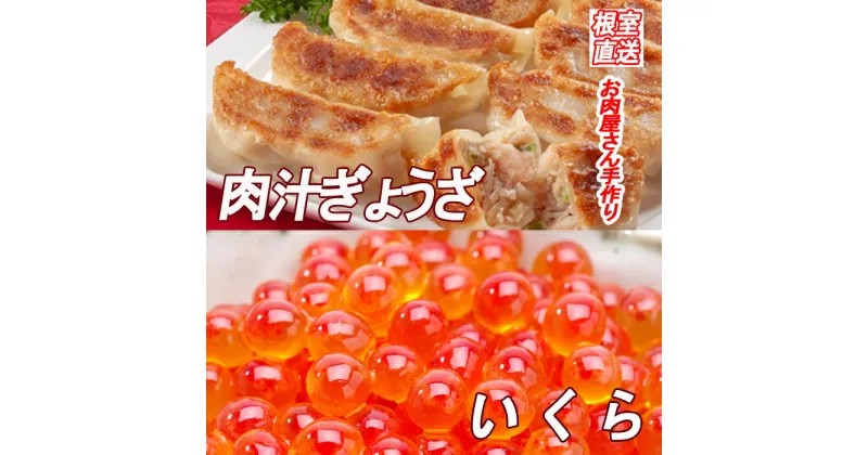 【ふるさと納税】餃子25個×1P、いくら醤油漬け100g×1P A-36042