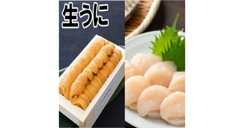 【ふるさと納税】エゾバフンウニ140g×1折、お刺身ホタテ貝柱500g×1P[2025年1月中旬以降発送] D-71040