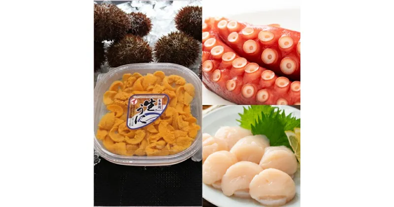 【ふるさと納税】エゾバフンウニ塩水パック150g×1P、お刺身ホタテ貝柱500g×1P、たこ足1.2〜1.7kg(小分けカット済)[2025年1月中旬以降発送] E-71019