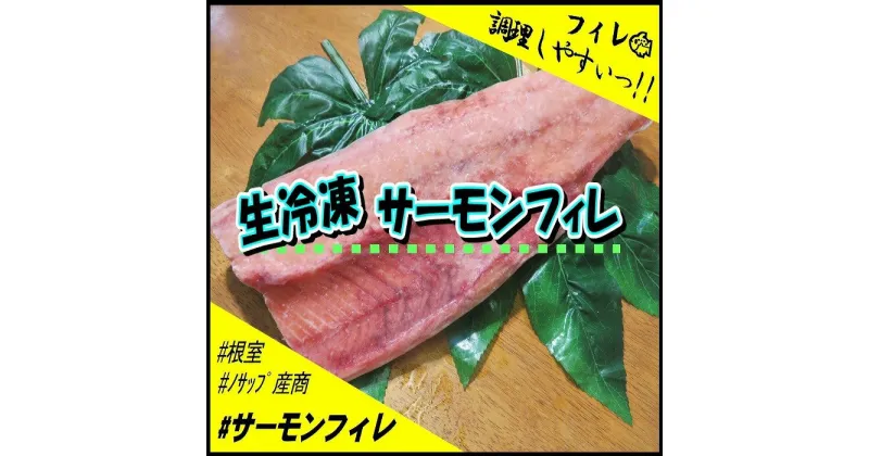 【ふるさと納税】[北海道根室産]サーモンフィレ2枚(計1.5kg以上) B-59016